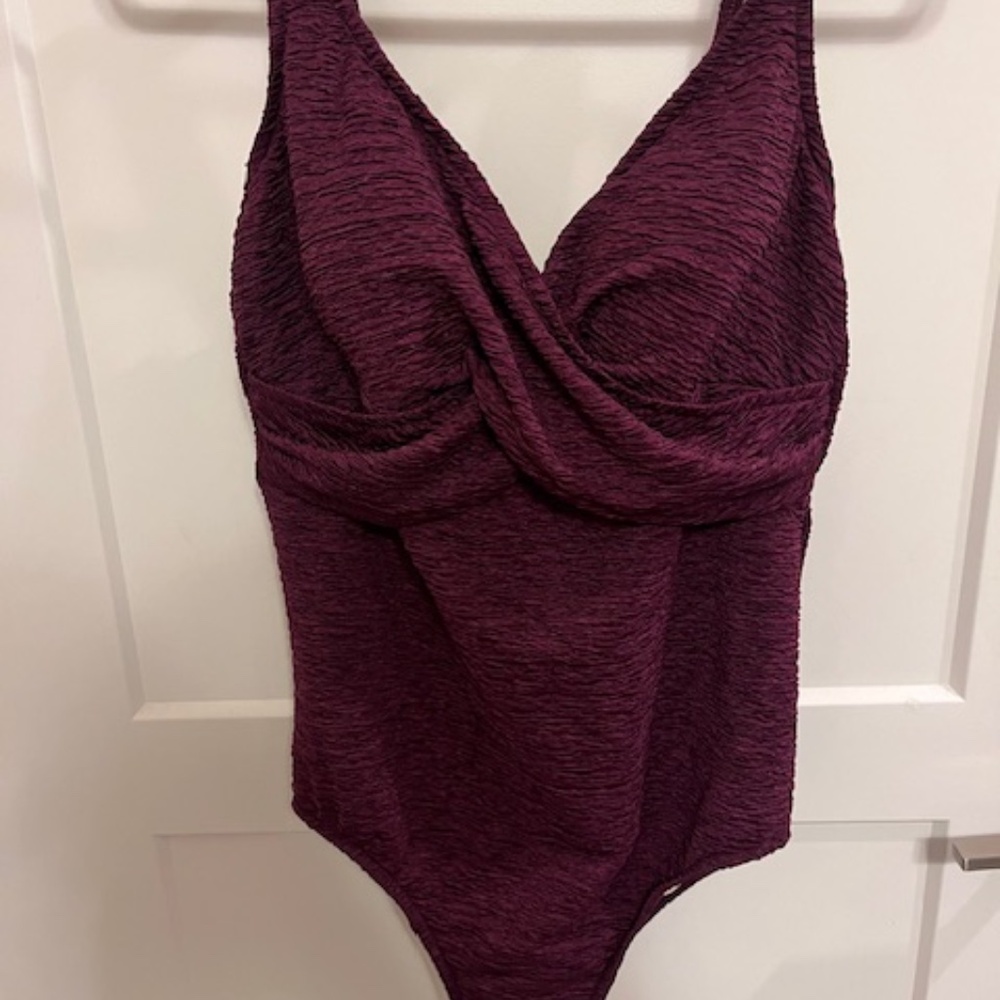 Penbrooke Krinkle Women's Plus Size Chlorine Resistant Long Torso One Piece Swim